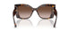 500213 - Tortoise - Brown Gradient