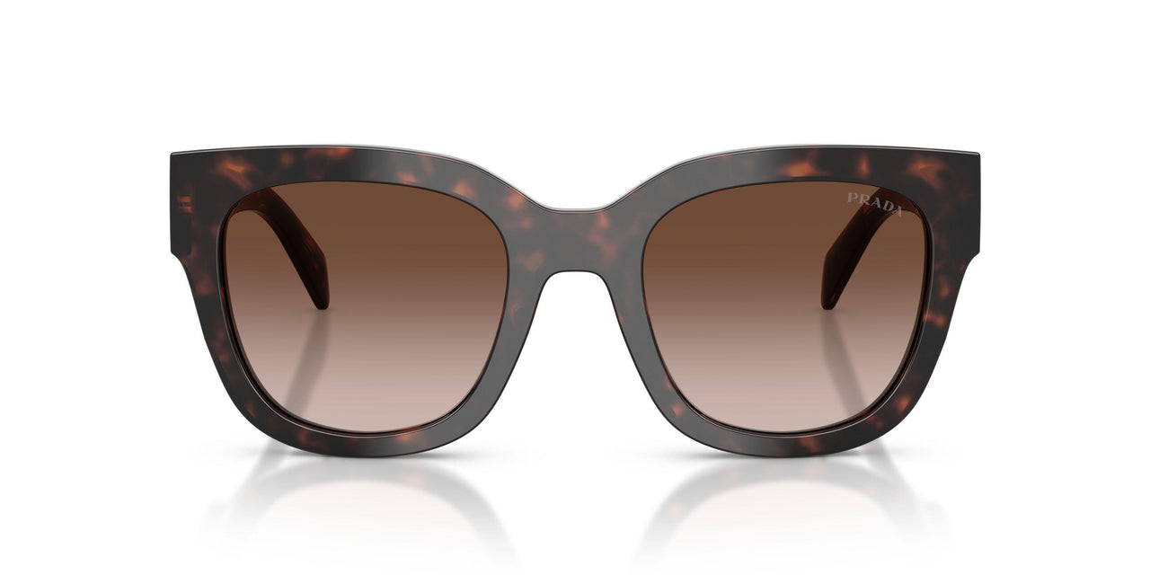 17N80A - Tortoise - Brown Gradient