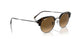710/M2 - Tortoise - Brown