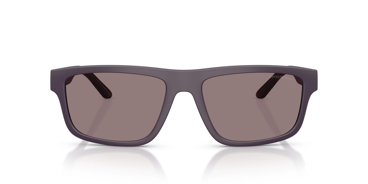 62427N - Violet - Purple Brown