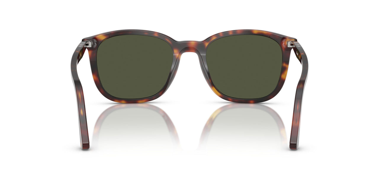 24/31 - Tortoise - Green