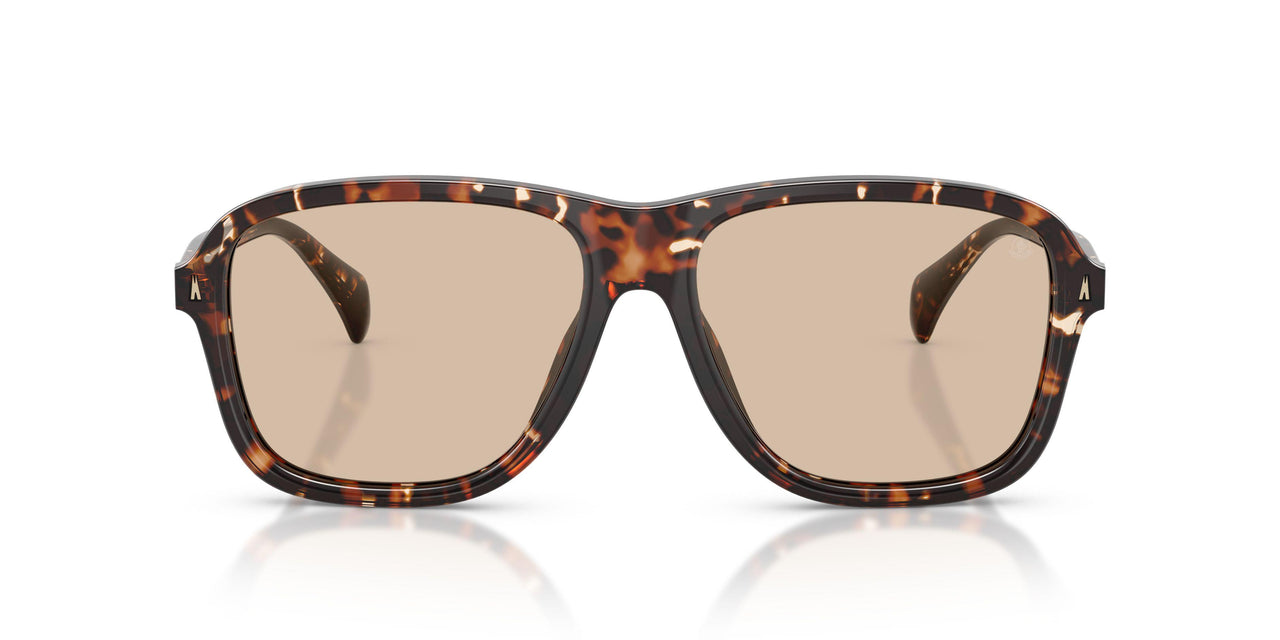304893 - Tortoise - Gradient Brown