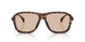 304893 - Tortoise - Gradient Brown