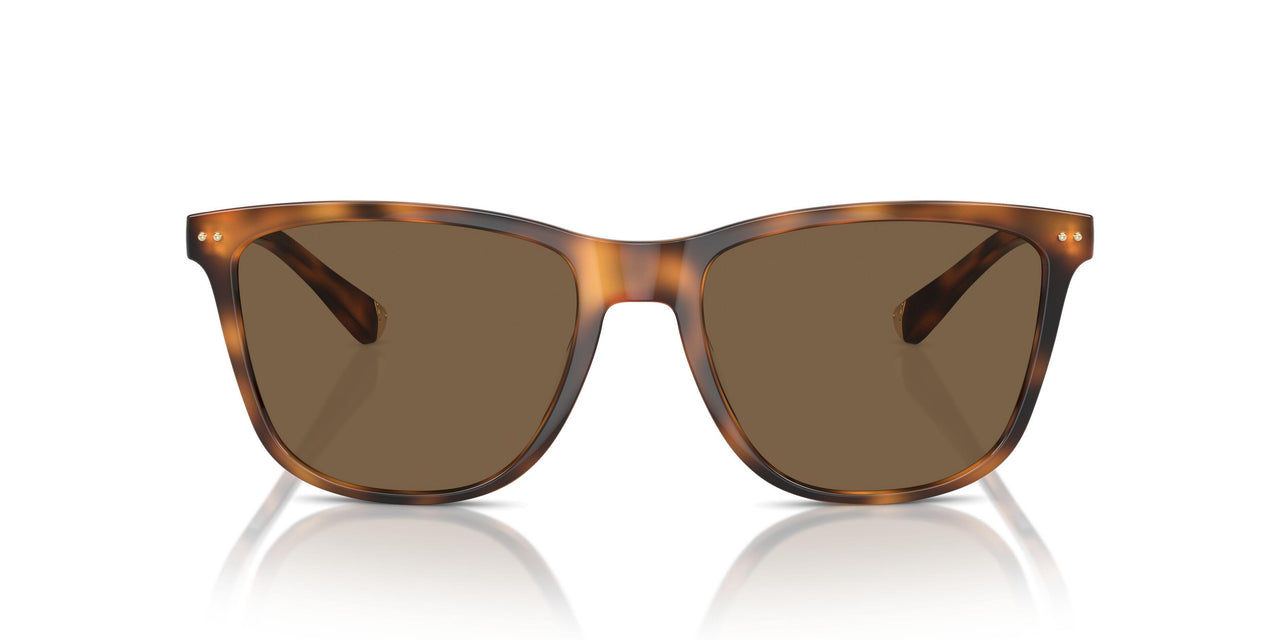 606473 - Tortoise - Dark Brown