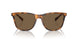 606473 - Tortoise - Dark Brown