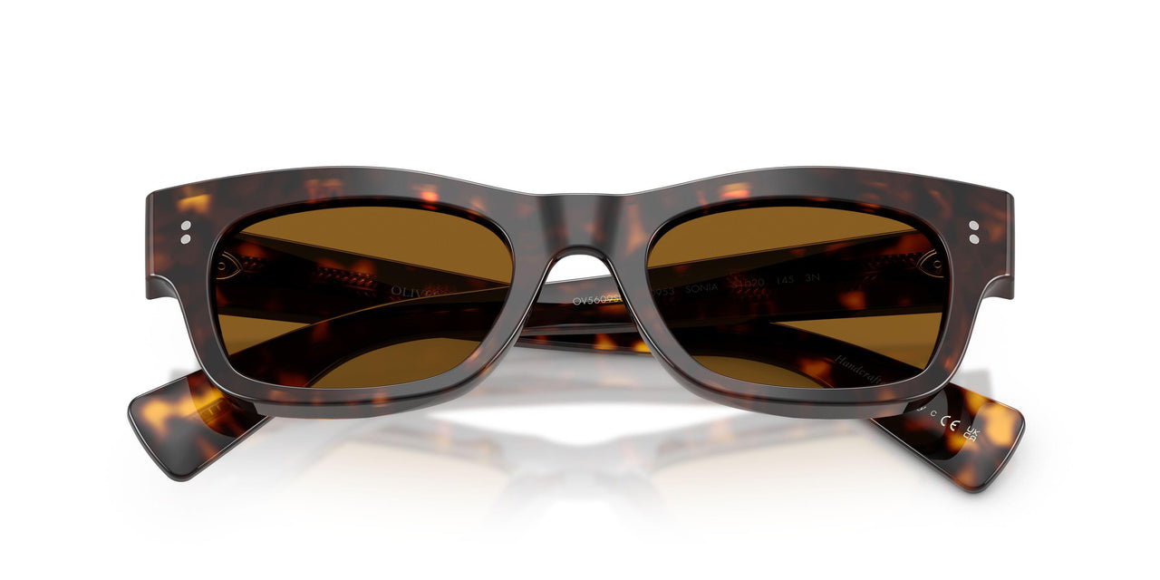 100953 - Tortoise - True Brown