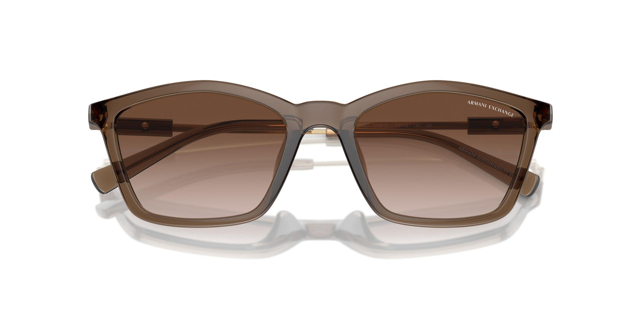 834913 - Brown - Gradient Brown