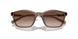 834913 - Brown - Gradient Brown