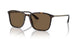 502673 - Tortoise - Dark Brown