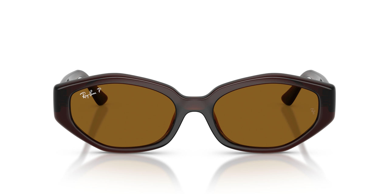 714/83 - Brown - Dark Brown Polar