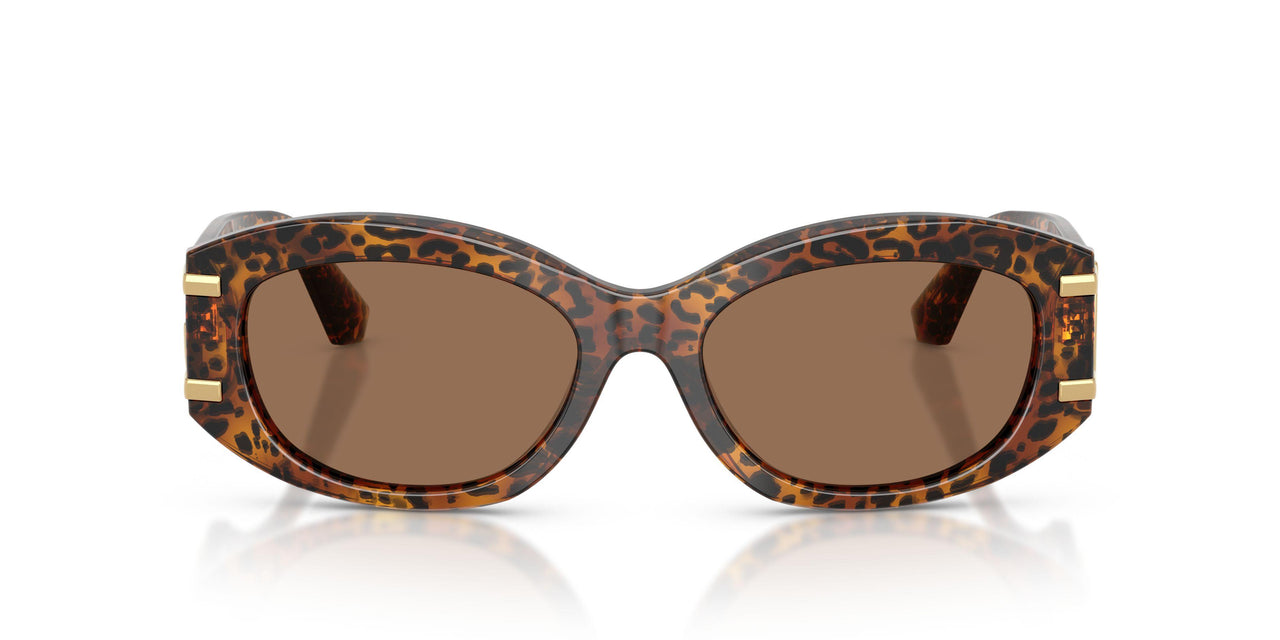 347073 - Brown - Dark Brown