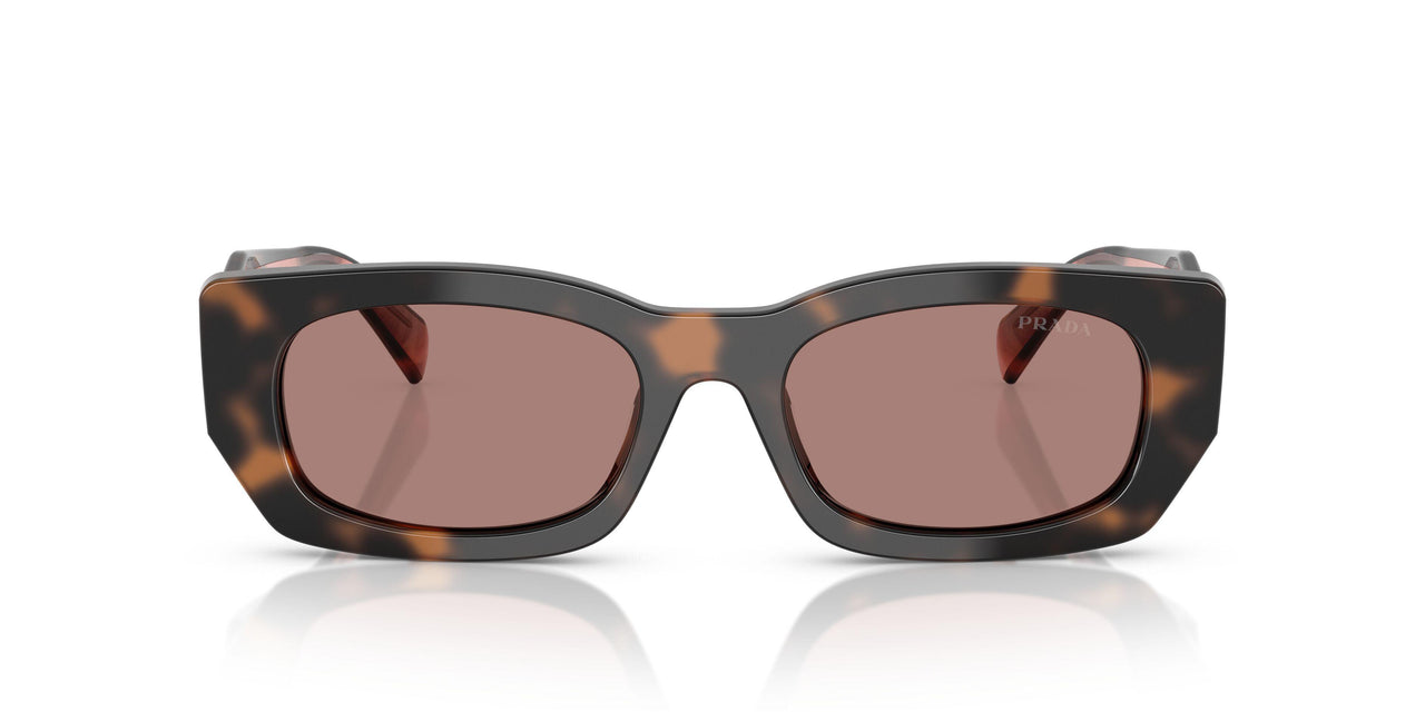 23A60B - Tortoise - Light Brown