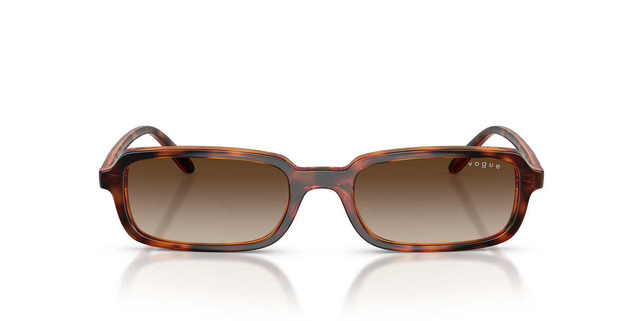 W65613 - Brown - Gradient Brown