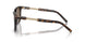 587973 - Tortoise - Dark Brown