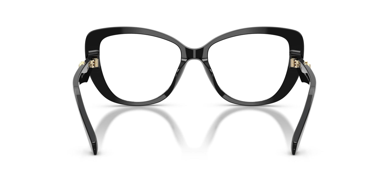 3005 - Black
