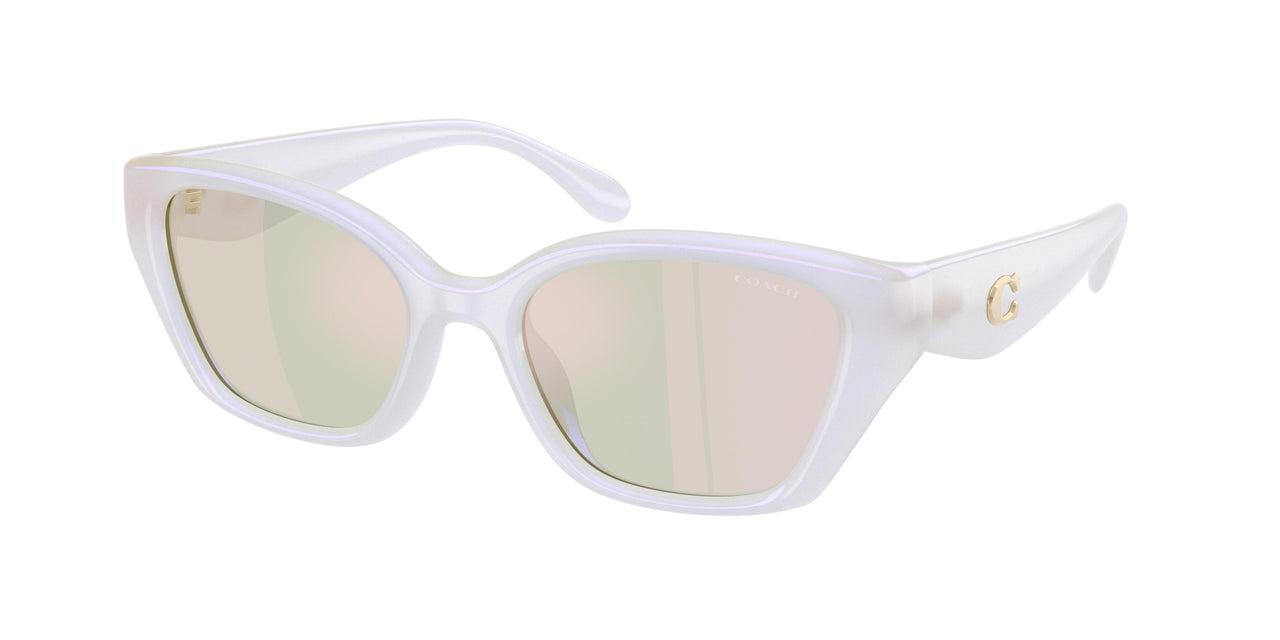 Coach Cby91 8434U Sunglasses