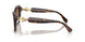 100273 - Tortoise - Dark Brown