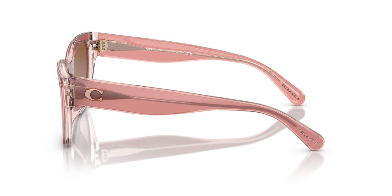 574313 - Pink - Brown Gradient