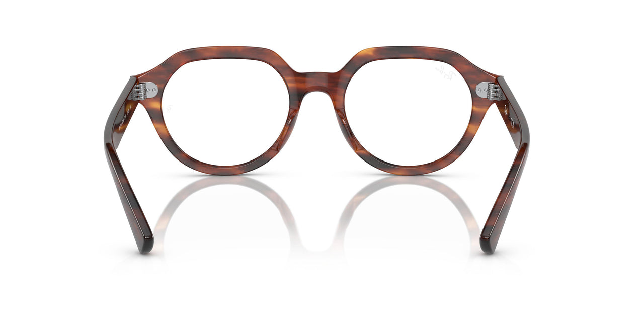 2144 - Brown - Clear