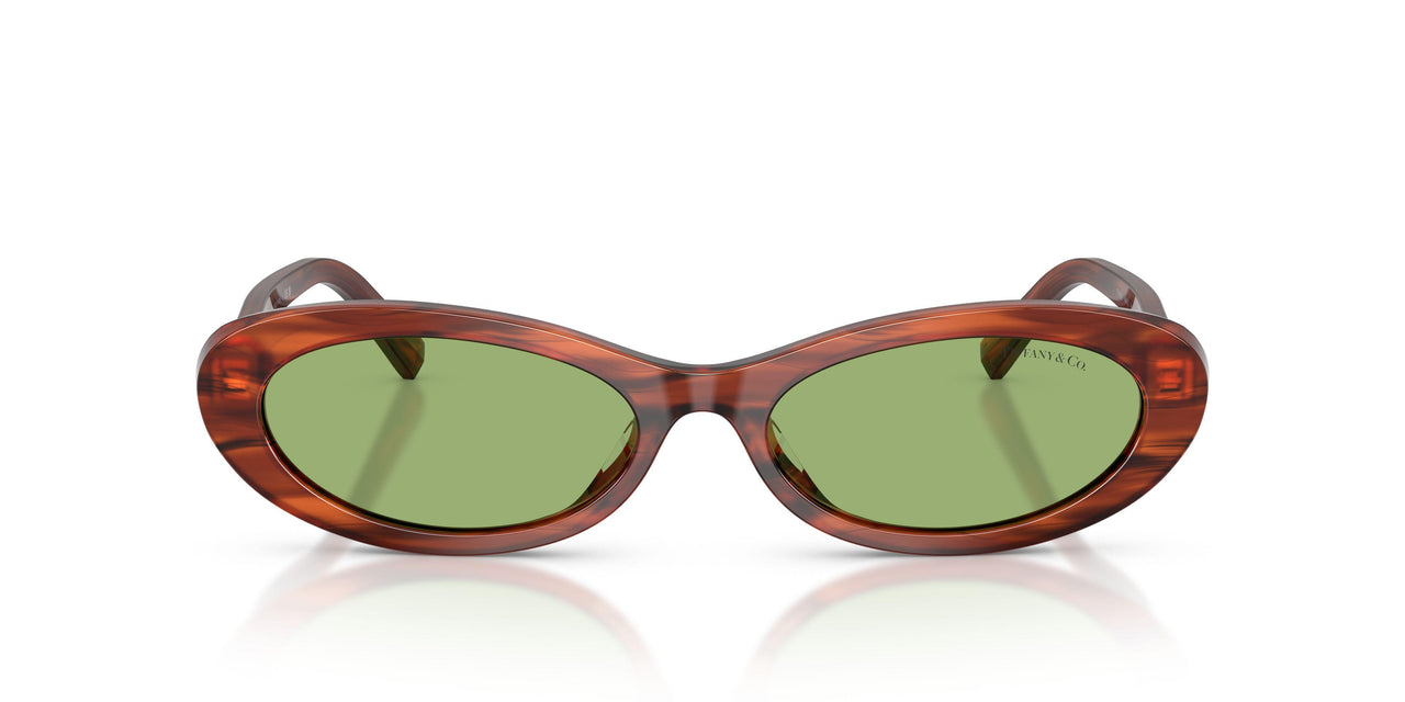 8440/2 - Tortoise - Green