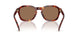 593873 - Tortoise - Brown Solid