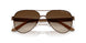 605813 - Brown - Gradient Brown