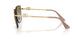 02/6E - Gold - Grad Light Brown Mirror Gold