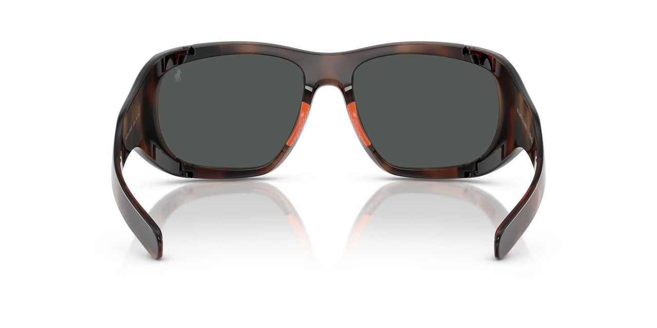 597487 - Tortoise - Dark Grey