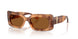 509673 - Brown - Dark Brown