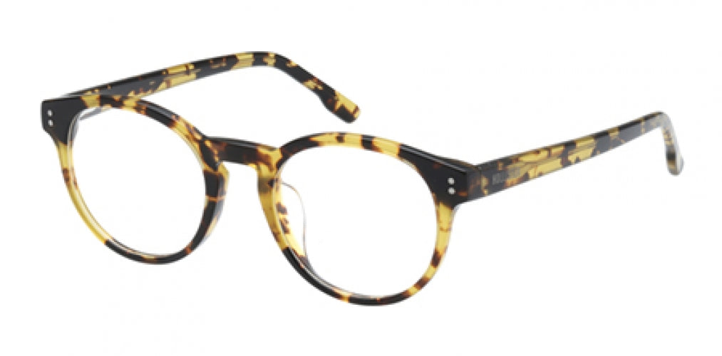 HOLLISTER 50032 Eyeglasses