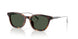 30389A - Brown - Dark Green