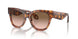 603351 - Brown - Gradient Brown