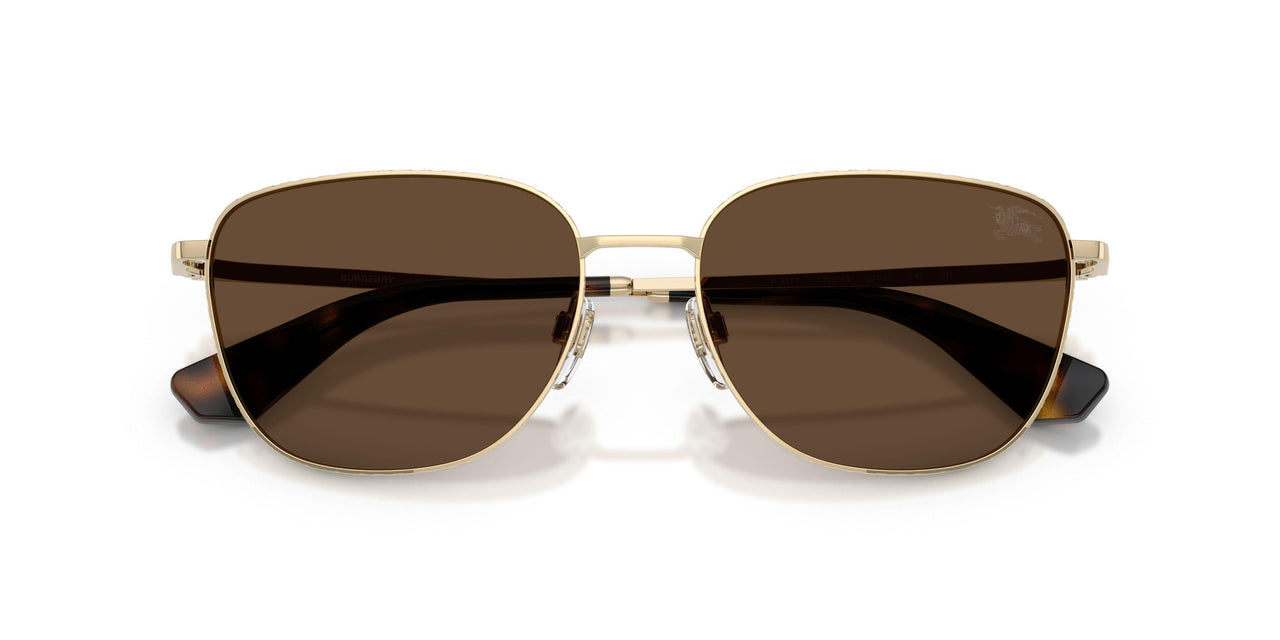 110973 - Gold - Dark Brown