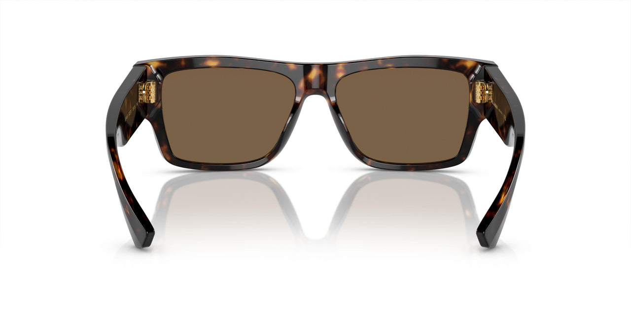 502/73 - Tortoise - Dark Brown