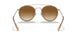907051 - Light Brown - Clear Gradient Brown