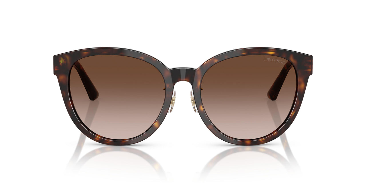 50028G - Tortoise - Gradient Brown