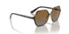 W656T5 - Havana - Polar Brown Gradient