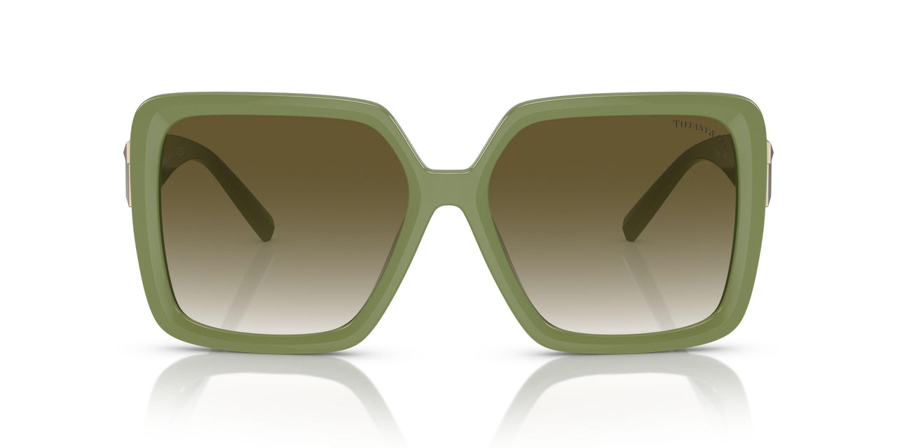 83687Z - Brown - Light Grey Gradient Green