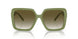 83687Z - Brown - Light Grey Gradient Green