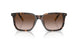 500313 - Tortoise - Gradient Dark Brown