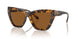 300673 - Tortoise - Amber Solid