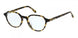 HOLLISTER 50028 Eyeglasses