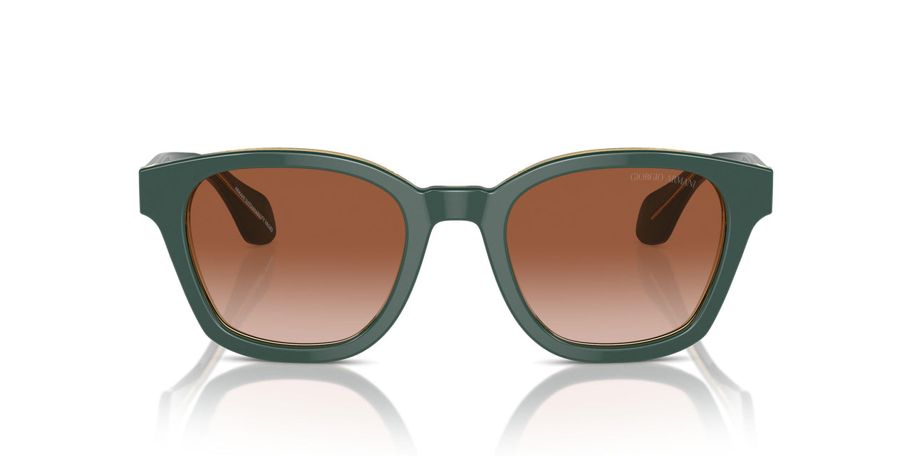 608613 - Green - Gradient Brown