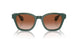 608613 - Green - Gradient Brown
