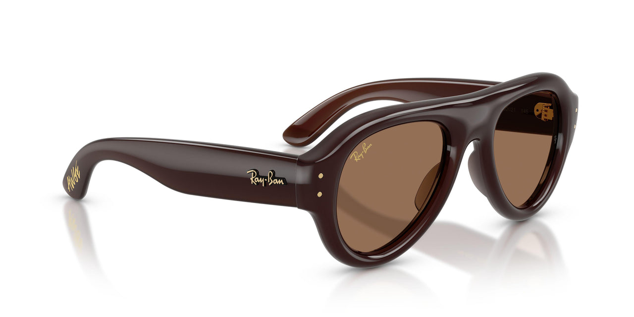 689673 - Brown - Dark Brown