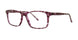 Modern Plastics I PRONTO Eyeglasses