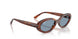 954/56 - Brown - Blue