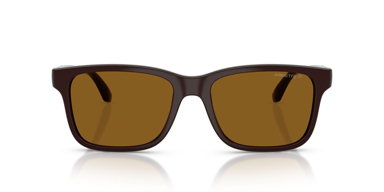 302783 - Brown - Dark Brown Polarized