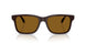 302783 - Brown - Dark Brown Polarized