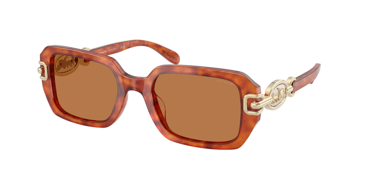 Coach Cad74 8425U Sunglasses